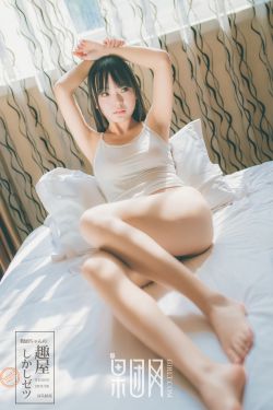 丰满的女房东6